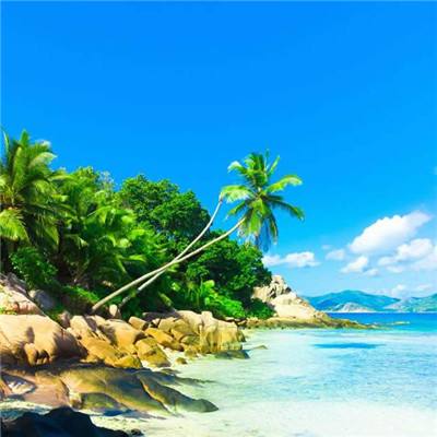 竞彩足球模拟投注下载