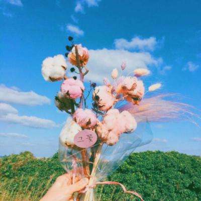 leyu·乐鱼体育下载手机版